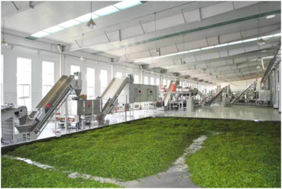 愈艱難，愈向前——農發行湖北分行戰疫戰貧兩不誤